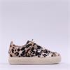 Paul Green Platform Bungee Lace Suede - Leopard Print